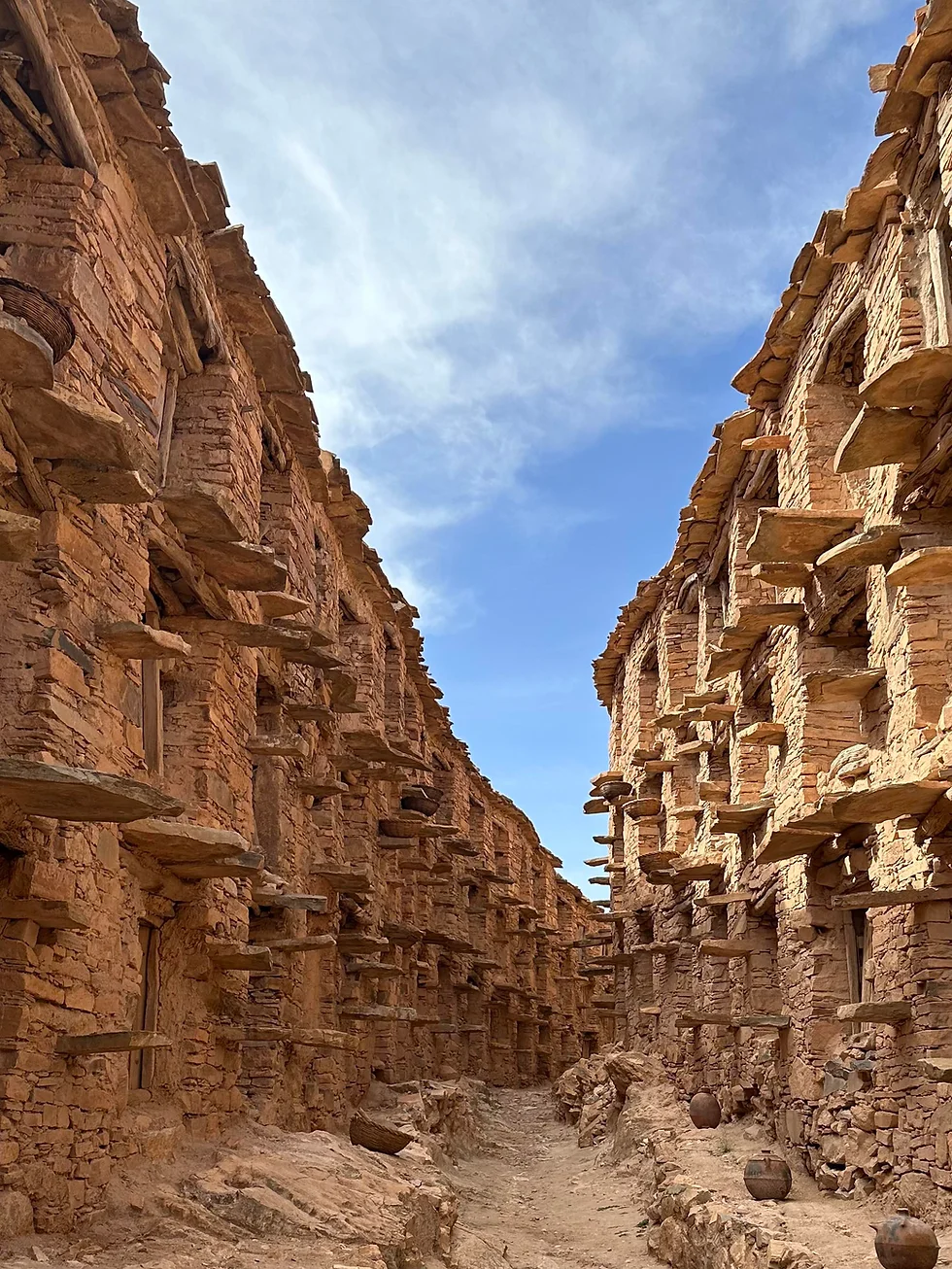Excursion Greniers d'Inoumar