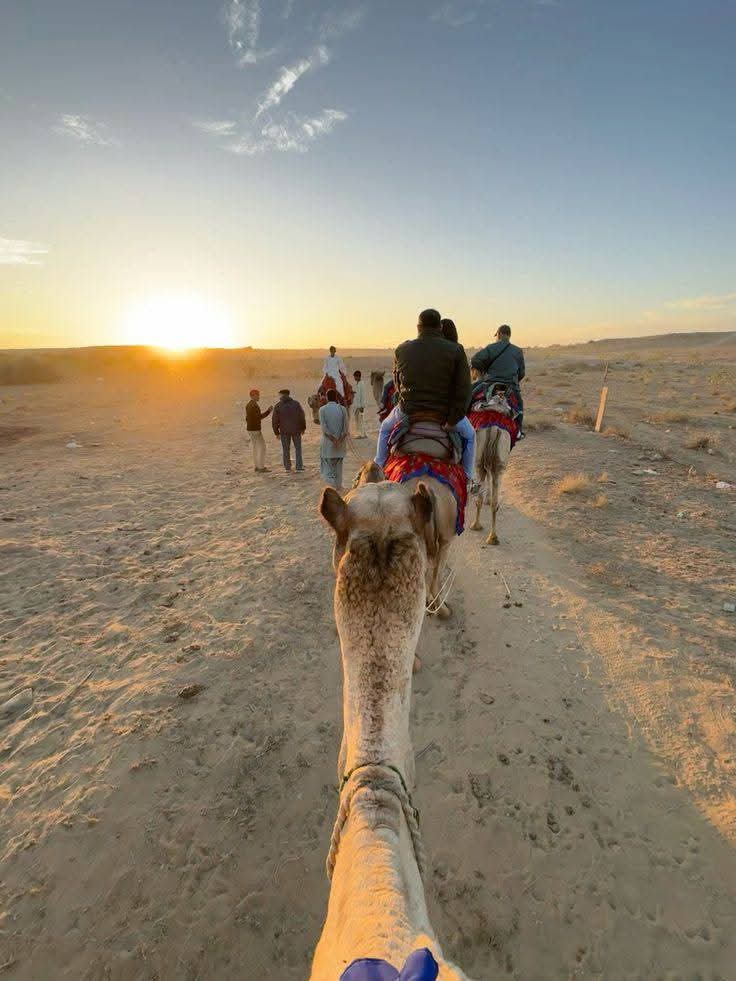 Vue à la première personne d'une caravane de chameaux au coucher du soleil