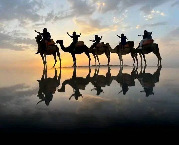 Caravane de chameaux reflétée dans l'eau au coucher du soleil