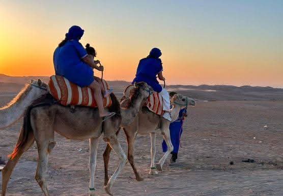 Silhouettes de chameaux au coucher du soleil
