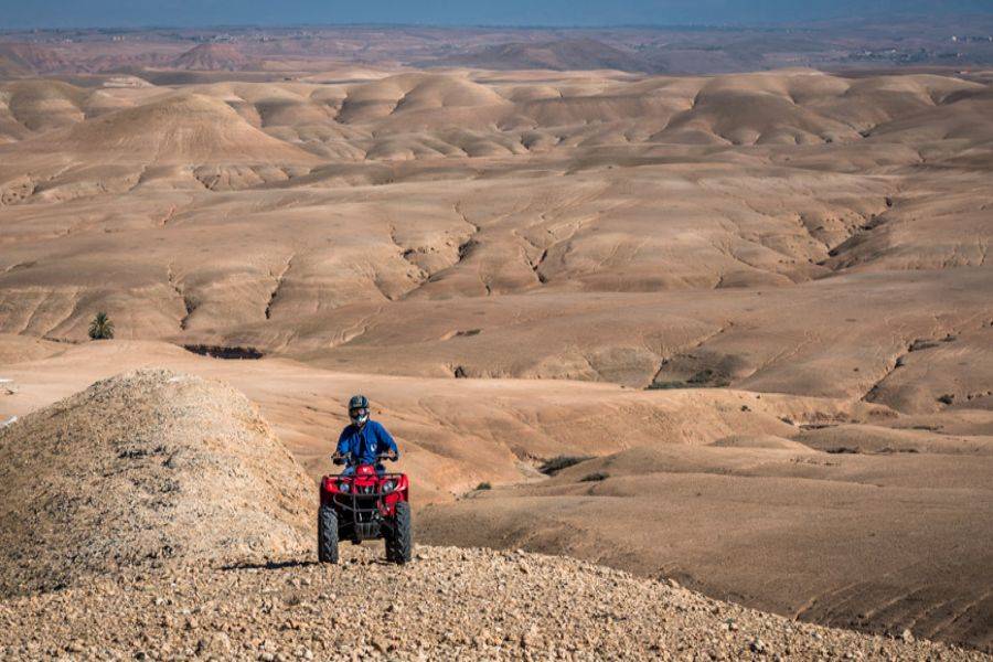 Quad, Chameau et Dîner Agafay - Image 2